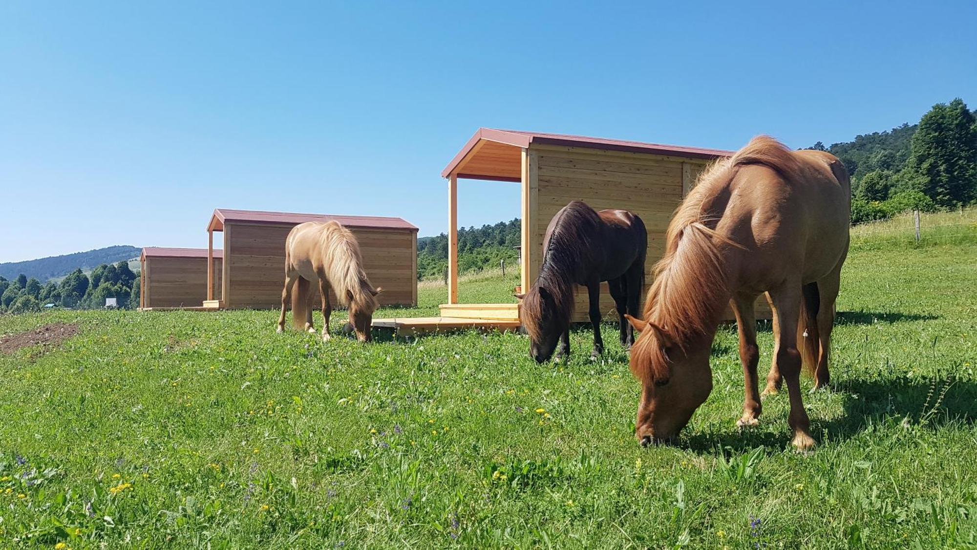 Camp The Sunrise Hill Hotel Pivka Exterior foto
